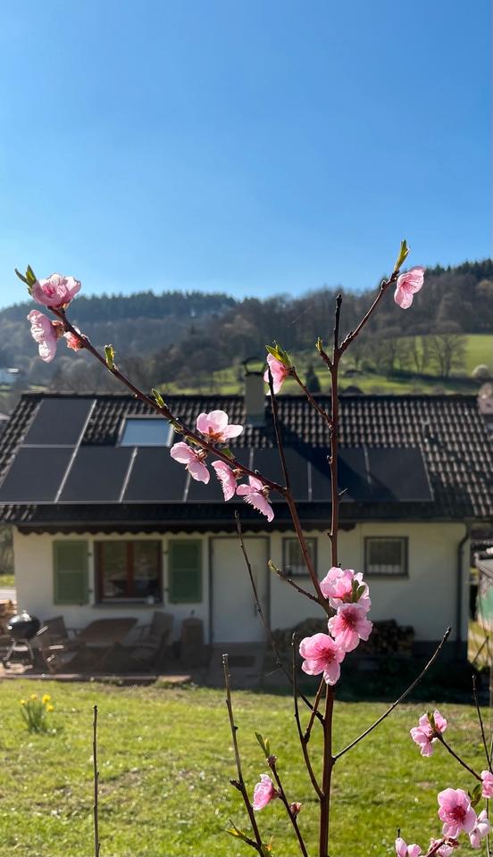 Thumbnail-Gemütliches Ferienhaus im kl. Odenwald |Ofen, Grill & Natur|