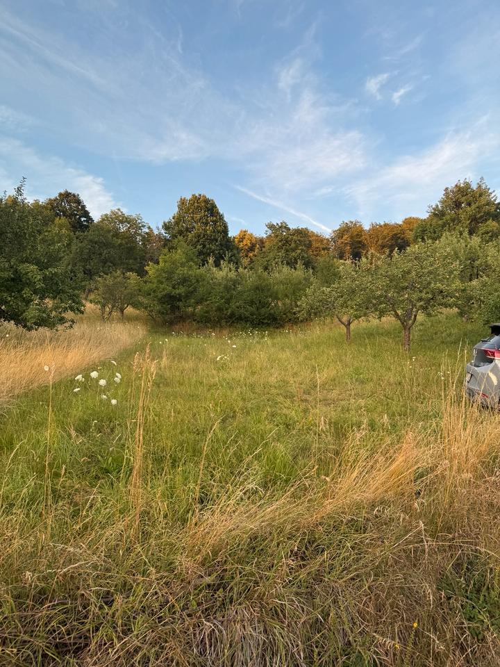 Thumbnail-Garten Freizeitgrundstück Wiese