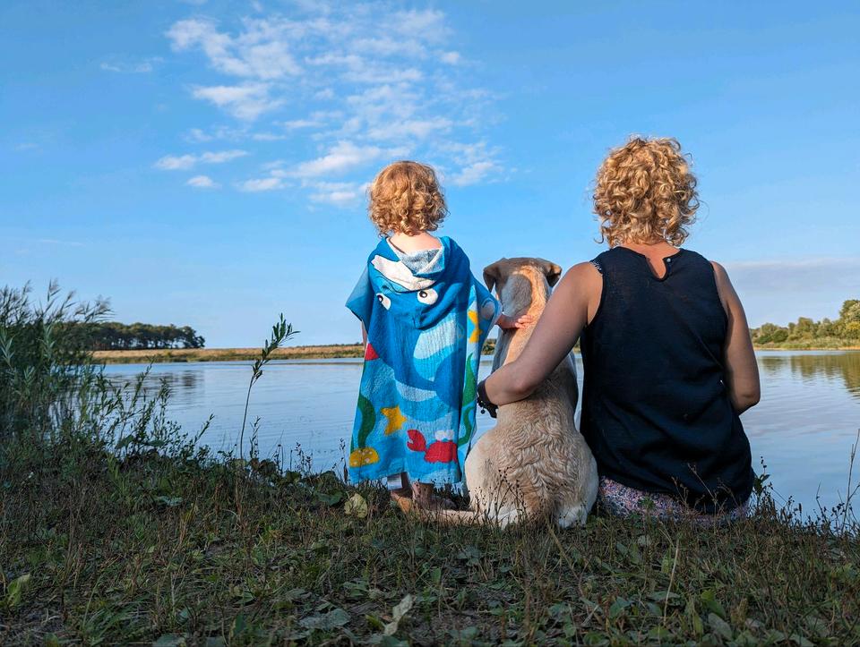Thumbnail-WG-Zimmer in einem Haus in Borkwalde - Suchbegriff: Wohnung