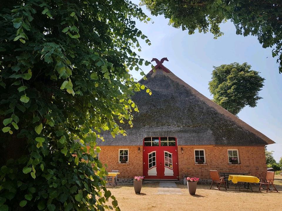 Thumbnail-Ferienwohnung Gastpaddock Gastpferd Ostsee Dierhagen Urlaub
