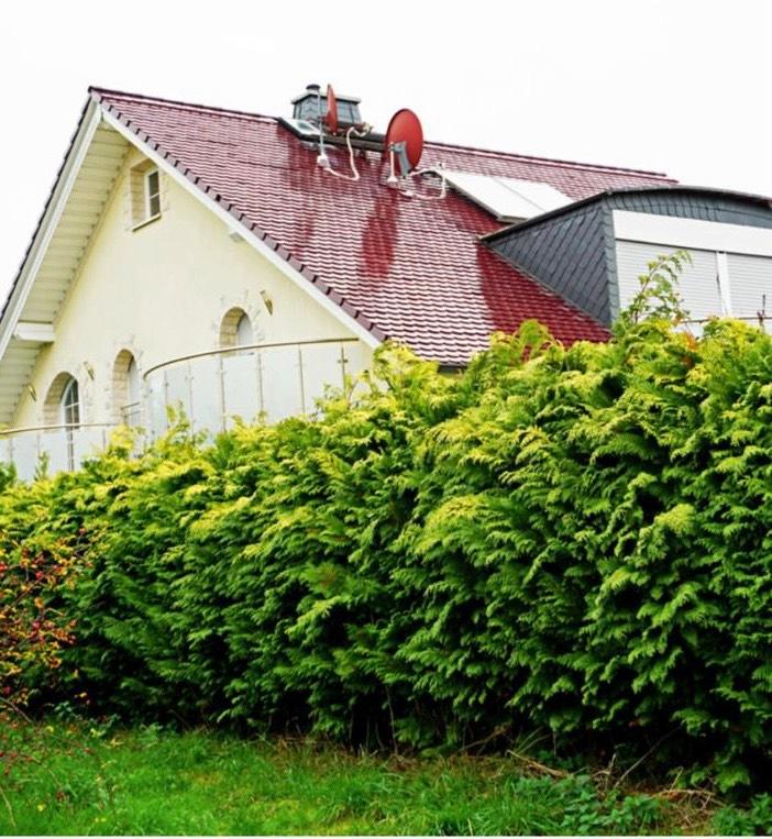 Thumbnail-Freistehendes Einfamilienhaus zum Vermieten oder zum Verkaufen