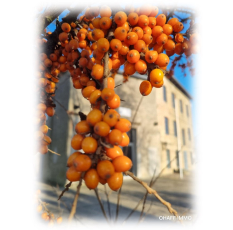 Thumbnail-Helle, freundliche 3 Raumwohnung im Top Zustand in Lübs zu vermieten