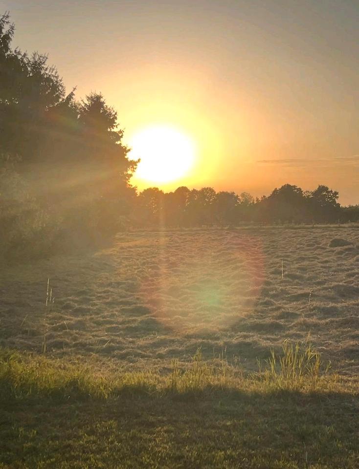 Thumbnail-Bauernhof Resthof Generationshaus