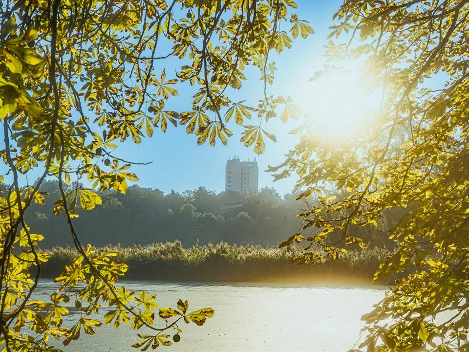 Thumbnail-Kleine Wohnung mit schönen Ausblick