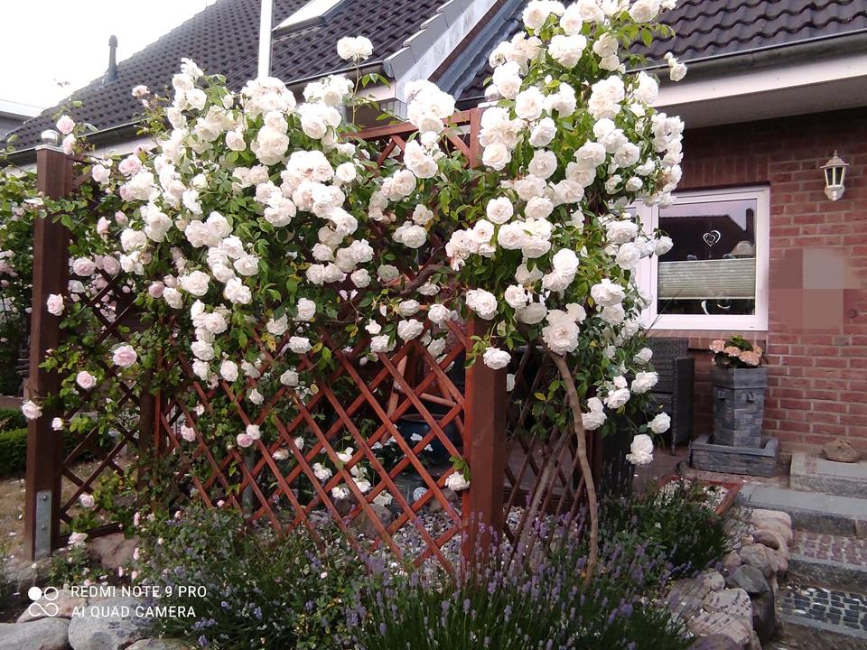 Thumbnail-Reihenmittelhaus Bad Schwartau