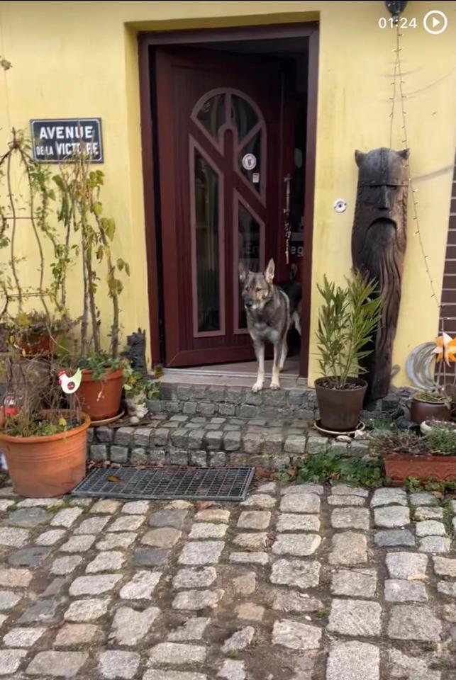 Thumbnail-Haus zu verkaufen in Nordwestmecklenburg