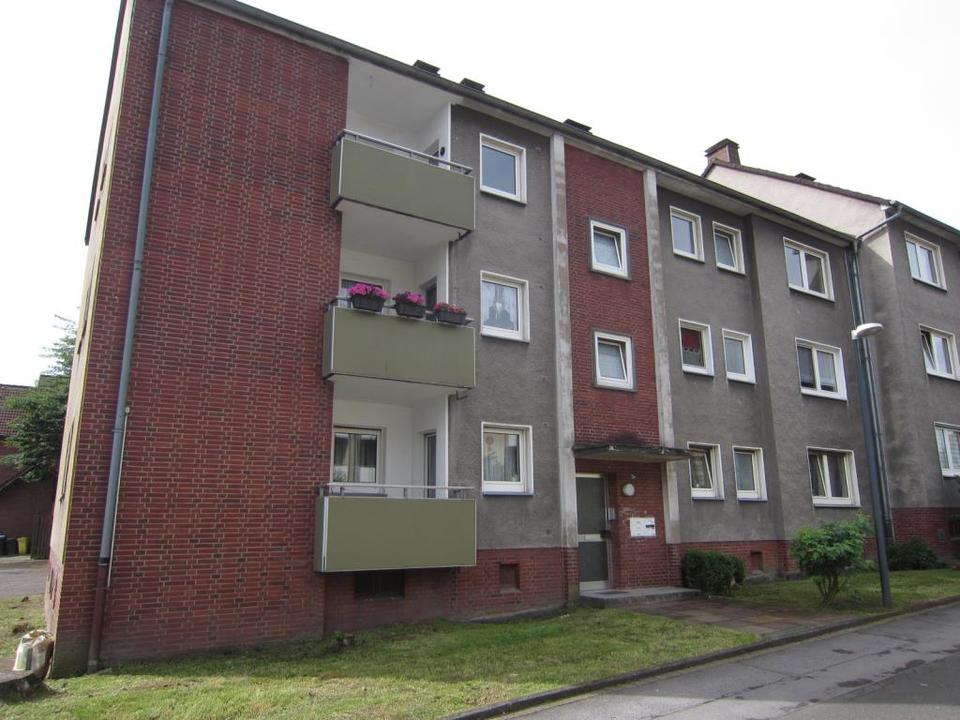 Thumbnail-Bringen Sie Ihr Herz mit, es wird sich wohlfühlen!