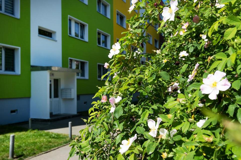 Thumbnail-Budget happy. Wohnung happy.