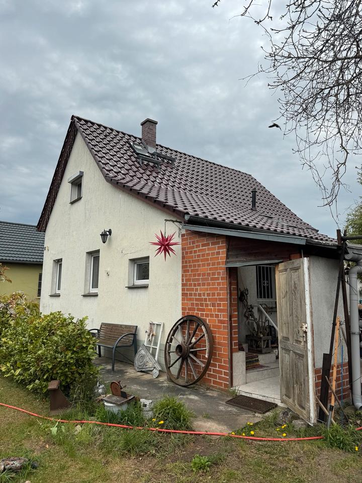 Thumbnail-1220m2 Grundtück mit Haus und grossem Garten in Petershagen
