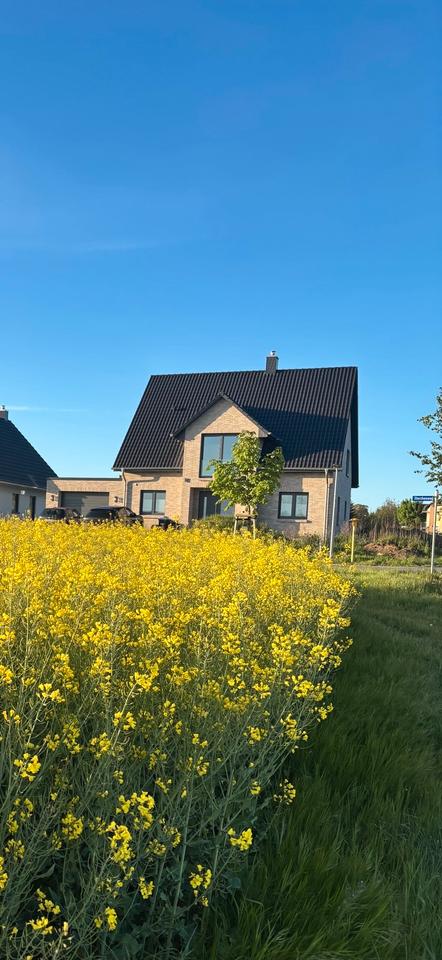 Thumbnail-Exklusive Neubauimmobilie