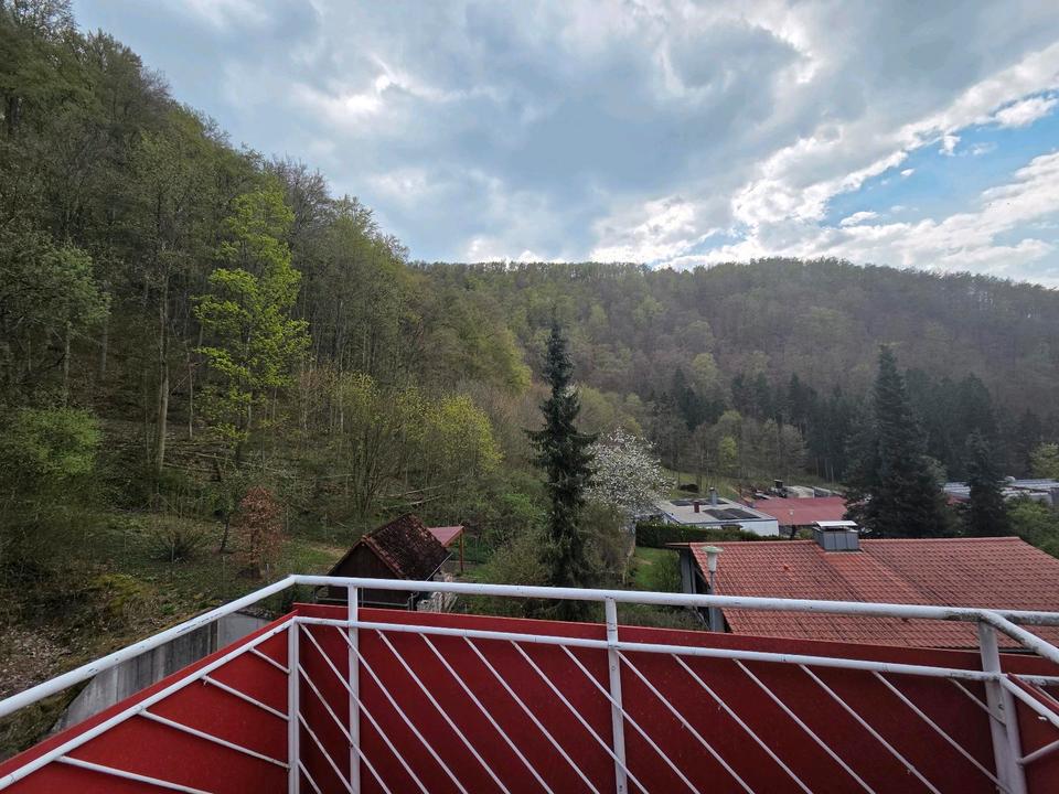 Thumbnail-2-Zi Wohnung am Waldrand; Balkon uneinsehbar + Stellpl.
