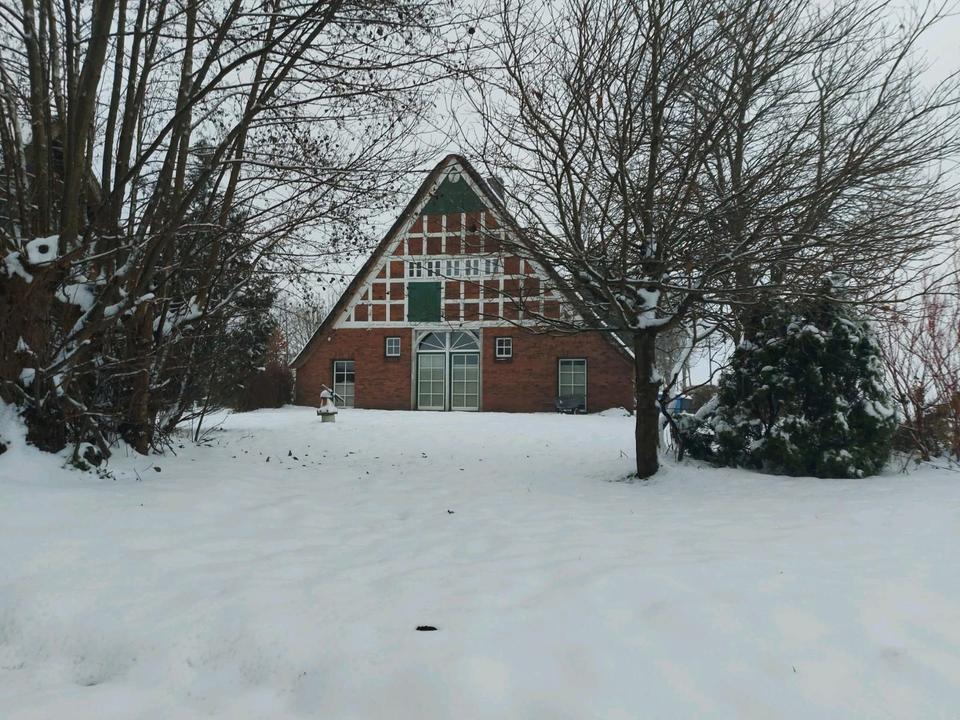 Thumbnail-Wohnung 1.OG im Reetdachhaus für Gartenliebhaber