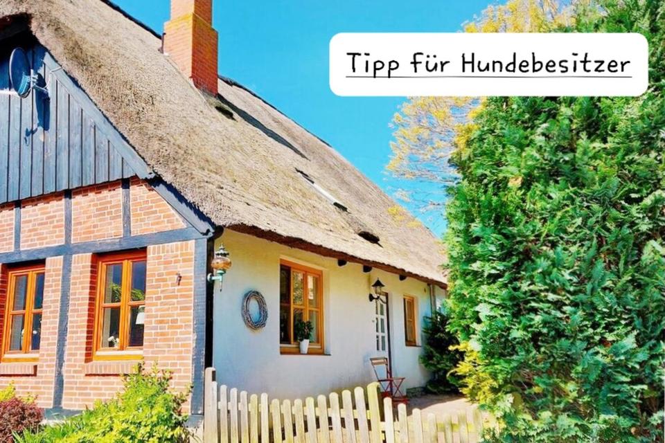 Thumbnail-Ostern auf Fehmarn: gemütliche Insel-Reetkate, kostenloser Sauna- & Schwimmbadzugang, Hunde herzlich willkommen, Ostsee, Ferienhaus mit Hund, Ferienwohnung nahe Burg, Last Minute