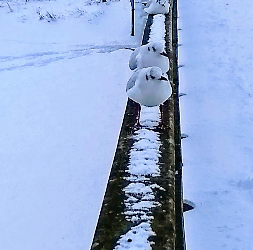 Thumbnail-Erholsame Wintertage an der Ostsee