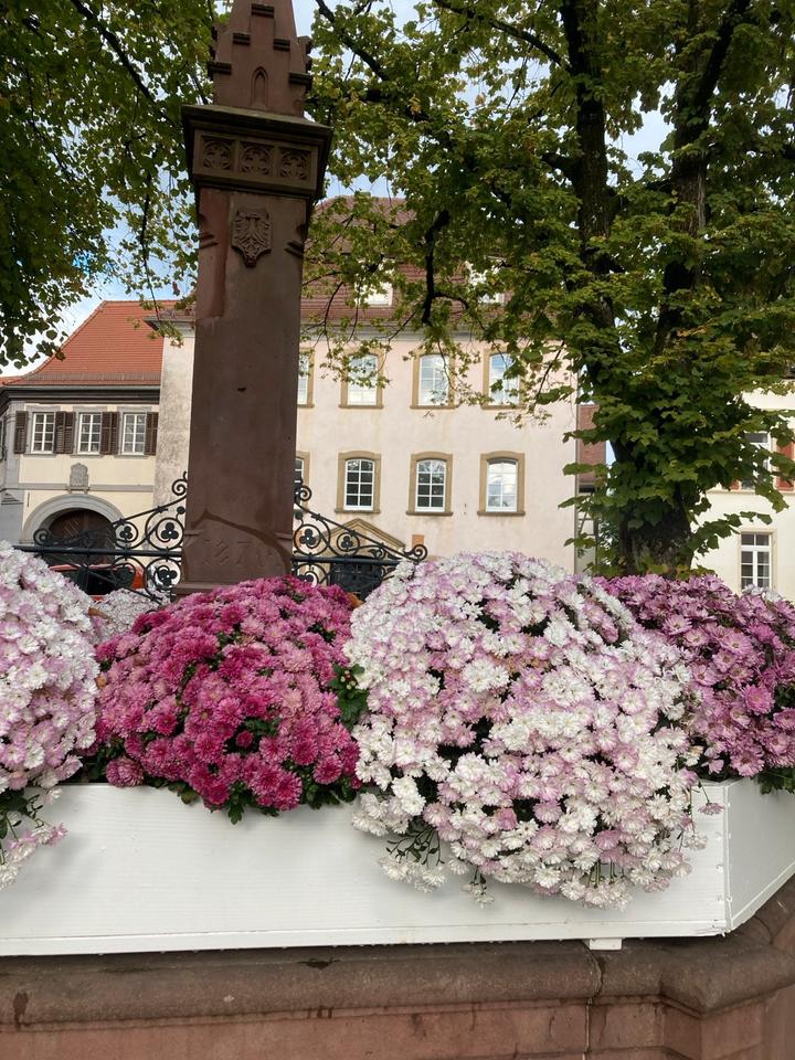 Thumbnail-2-Zimmerwohnung möbl. Bad Wimpfen Altstadt