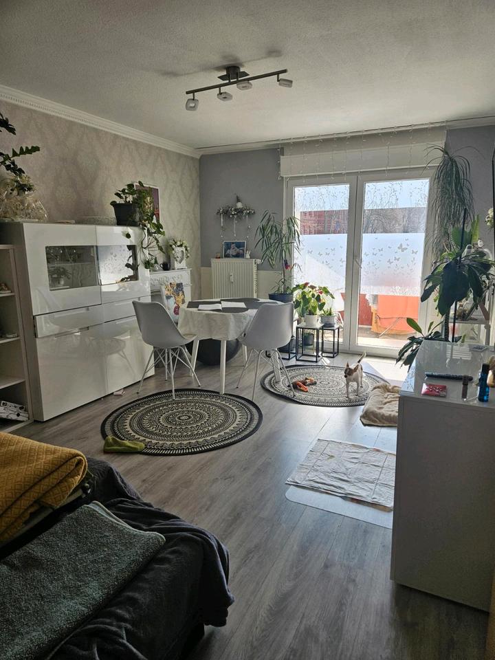 Thumbnail-3 raum Wohnung Magdeburg