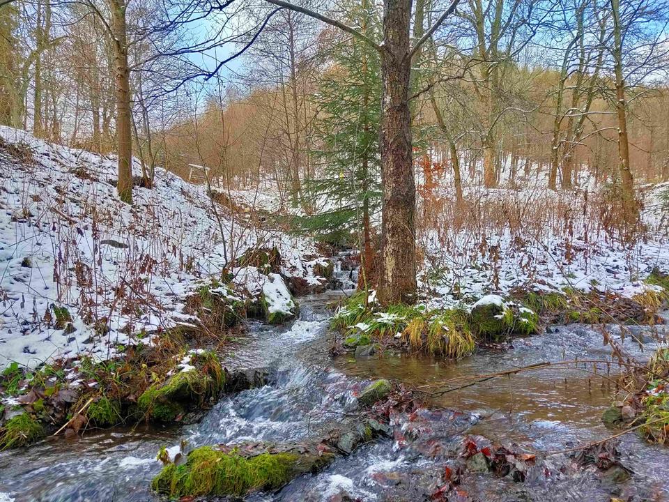 Thumbnail-Vorweihnachten im Harz? Ferienwohnung Hohegeiß!