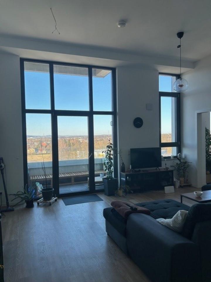 Thumbnail-Moderne Loftwohnung über den Dächern Göttingens