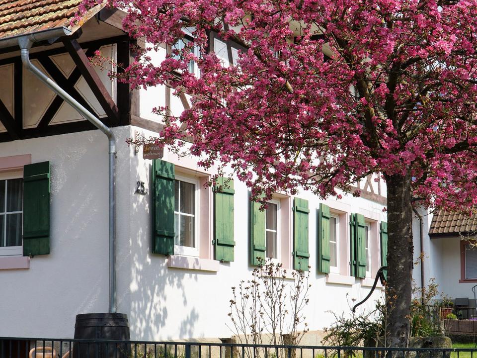 Thumbnail-Charmante Ferienwohnung Lahr Schwarzwald Region Europapark