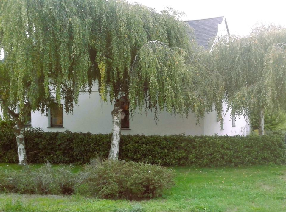 Thumbnail-Haus zur Miete in Seenähe bei Senftenberg