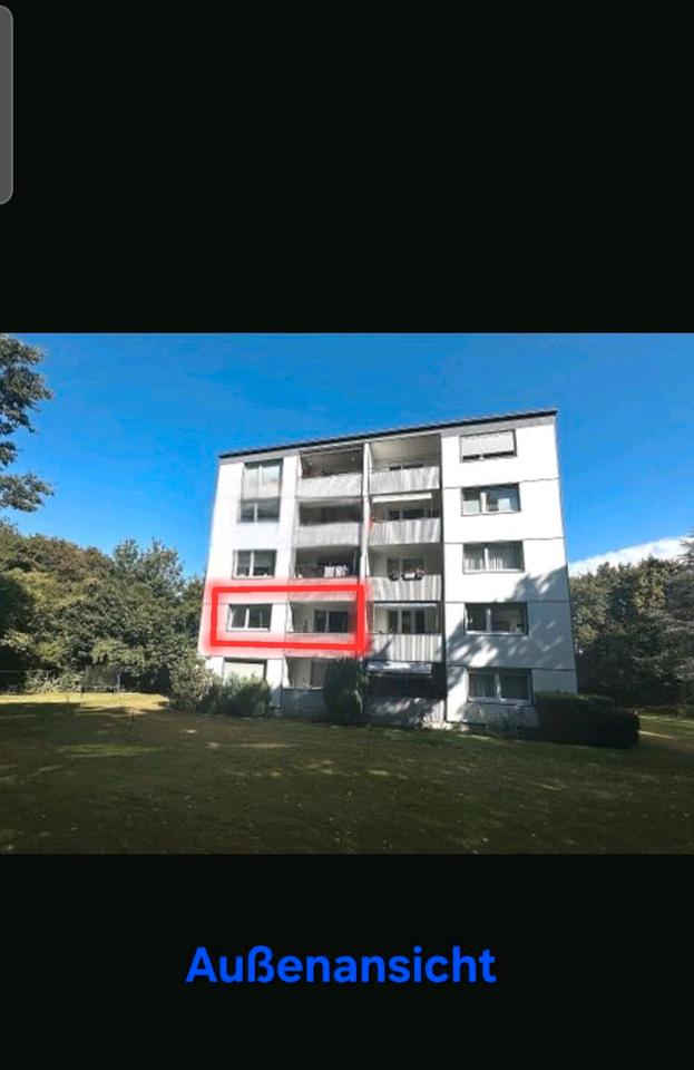 Thumbnail-Fisch renovierte 3 Zimmer Wohnung