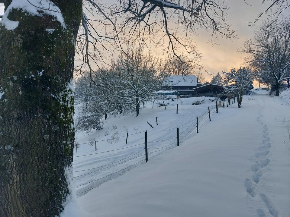 Thumbnail-BAUERNHOF - PFERDEHOF - 4 HEKTAR WEIDE DIREKT AM HAUS
