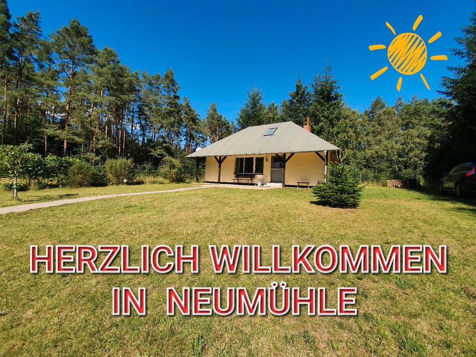 Thumbnail-Ferienhaus im Wald. See -Nähe. Absolute Ruhe. Natur.