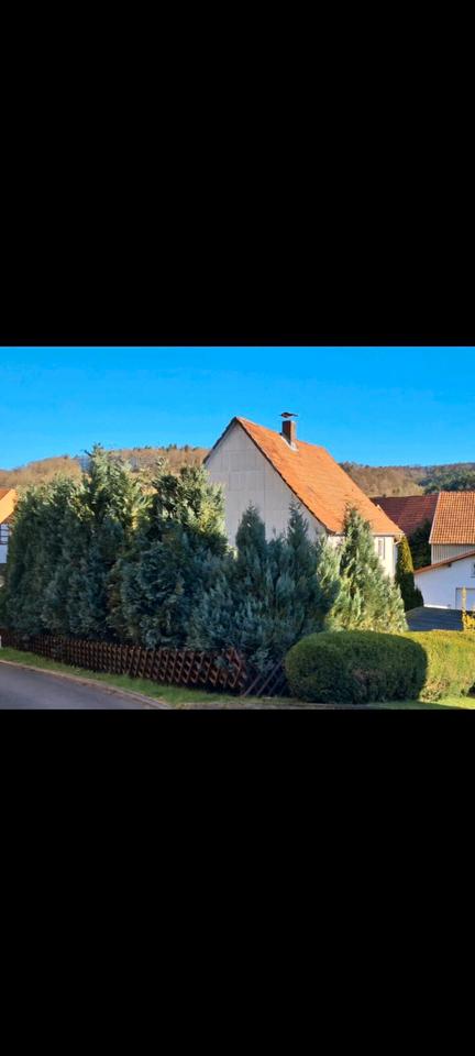 Thumbnail-Haus, Garagen & Garten v. privat