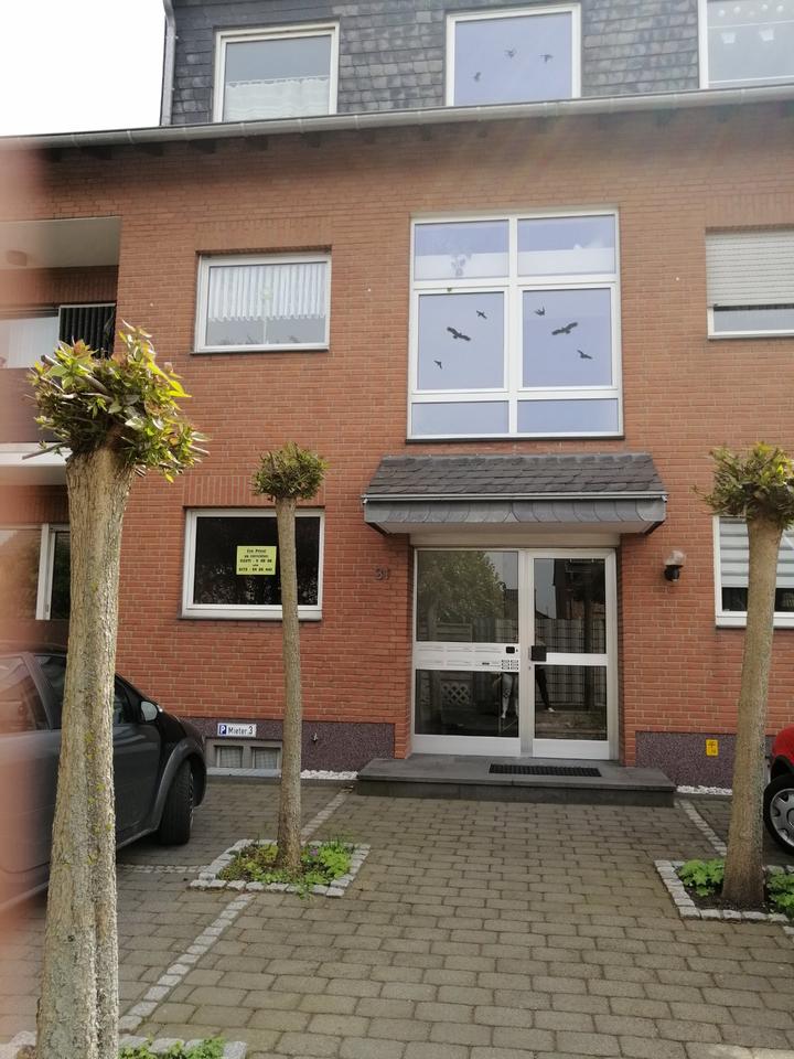 Thumbnail-BM-Oberaußem: Helle, moderne 2-Zimmer DG Wohnung in ruhiger Lage