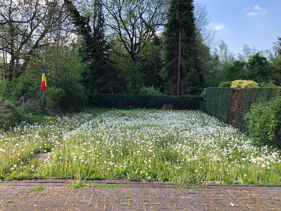 Thumbnail-Haus - Platzwunder für Großfamilie oder Wohnen mit Büro