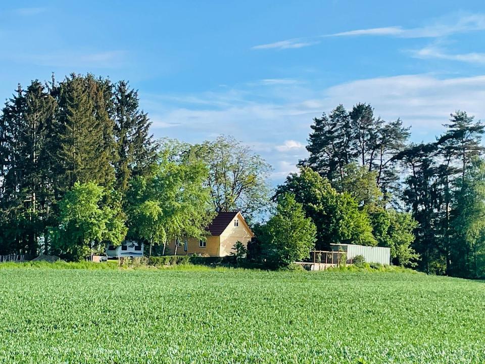 Thumbnail-Haus mit Grundstück in mitten Natur, nähe Bodensee am Weiher