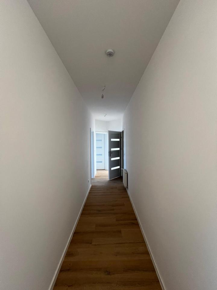 Thumbnail-Neu renovierte 2 - Zimmer Wohnung Bezugsfertig ab 01.05.2026