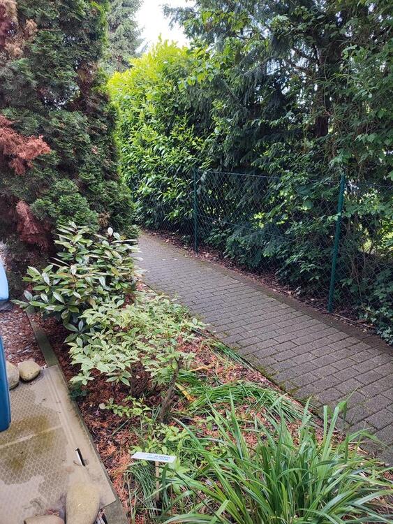 Thumbnail-Gepflegtes Reihenhaus von privat