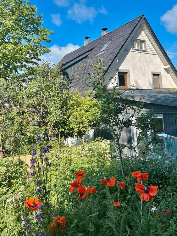 Thumbnail-Einfamilienhaus