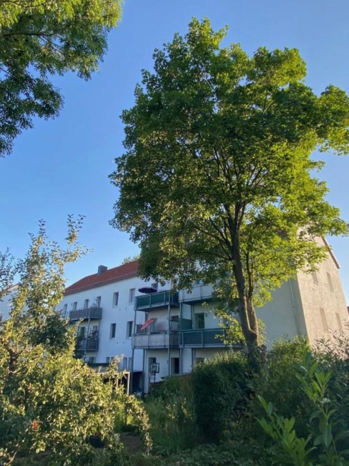 Thumbnail-Helle 3 Raumwohnung mit Balkon ab Januar zu vermieten