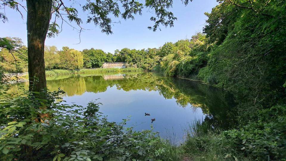 Thumbnail-Viel Platz für die ganze Familie