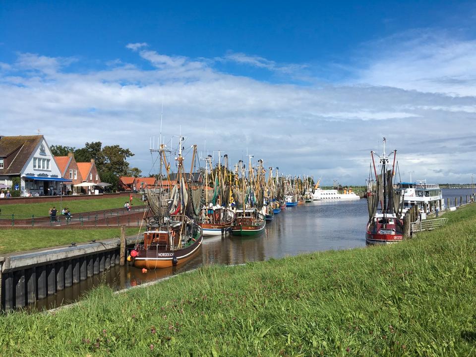 Thumbnail-Lückentage 9.5.-13.5 18.5. - 23.5 Fewo Muckelstuuv in Greetsiel