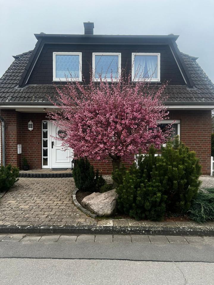 Thumbnail-Einfamilienhaus mit Garten in ruhiger Lage