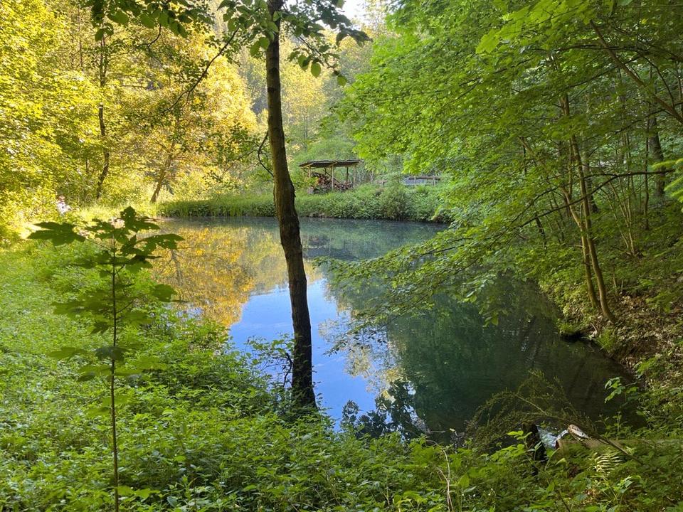 Thumbnail-Beteiligung an Nutzungsgemeinschaft: Wald mit Quellwasser-Teich