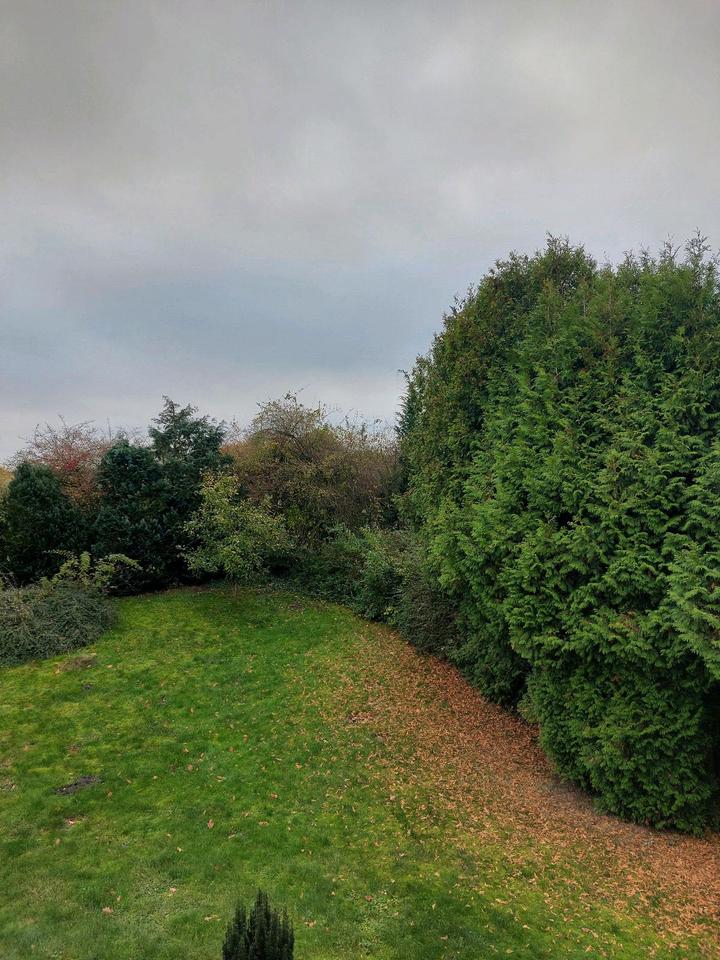 Thumbnail-Schöne ruhige DG-Wohnung in Heeslingen, zu sofort, zu vermieten