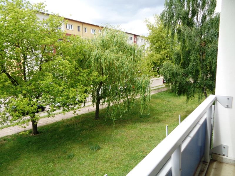 Thumbnail-Nachmietersusche