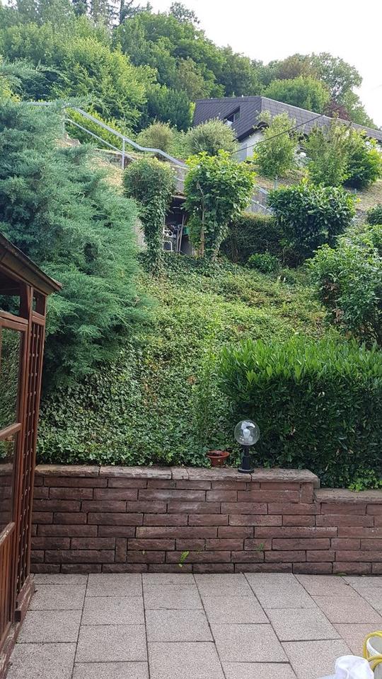 Thumbnail-Etagenwohnung mit Aussicht in Eberbach zu vermieten