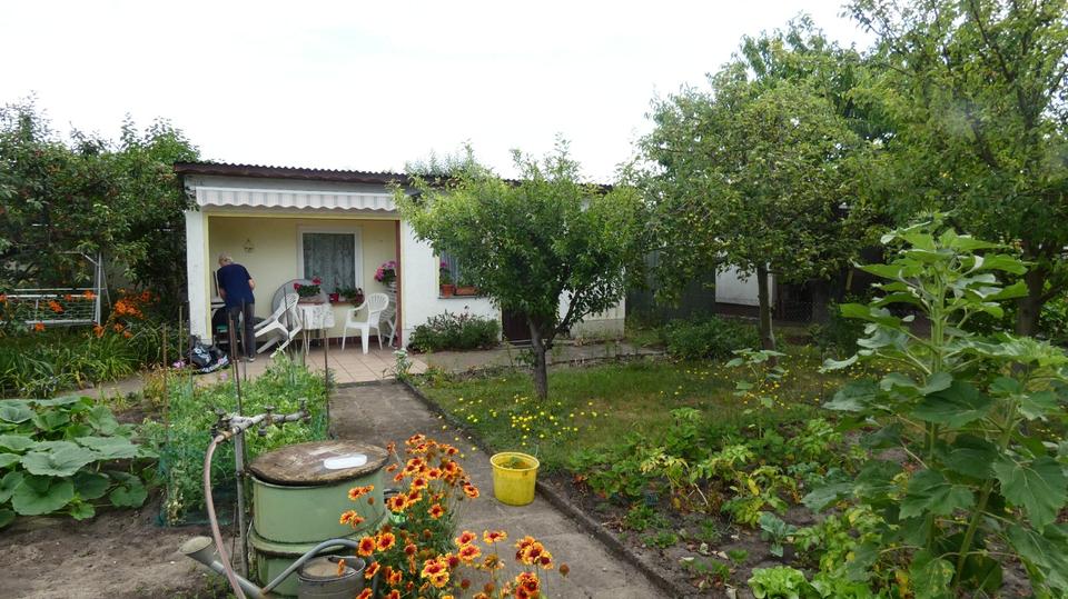 Thumbnail-Garten in Lübben abzugeben ,massive Laube,