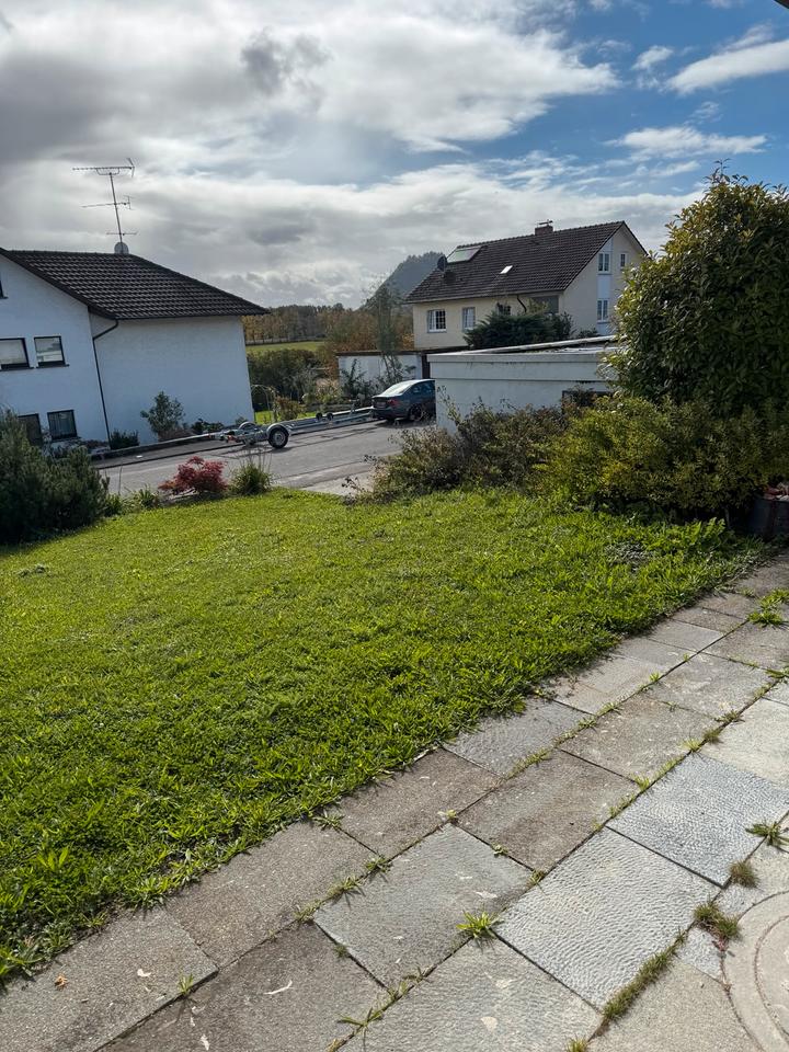 Thumbnail-2,5 Zimmer Wohnung