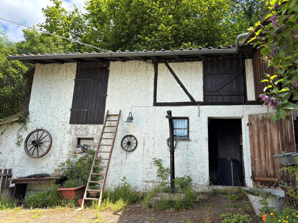 Thumbnail-Haus mit Gemüsegarten und 2,4ha Wiesen für Naturverbundene