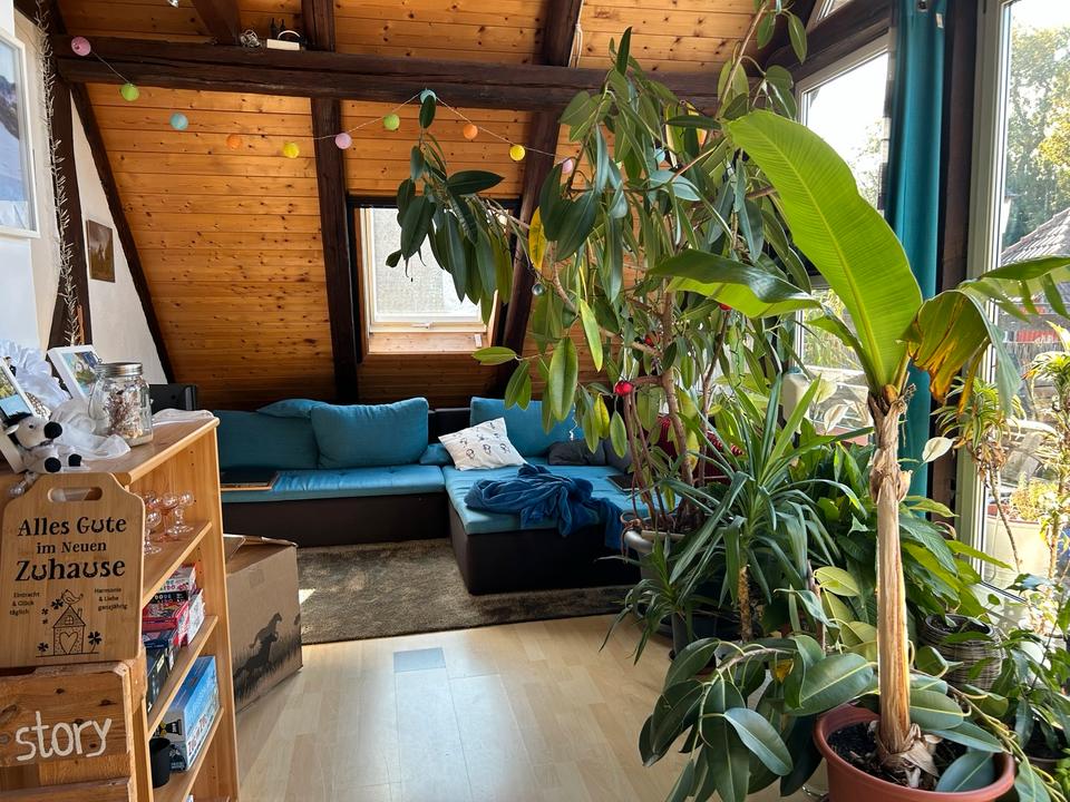 Thumbnail-Charmante Dachgeschosswohnung in Vechelde OT Bodenstedt