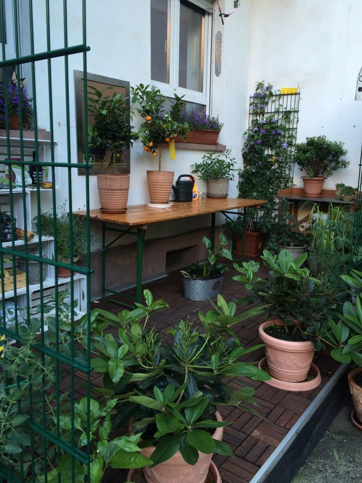 Thumbnail-Reden ist Silber, kaufen ist GOLDEinbauküche Tel : 015207172504