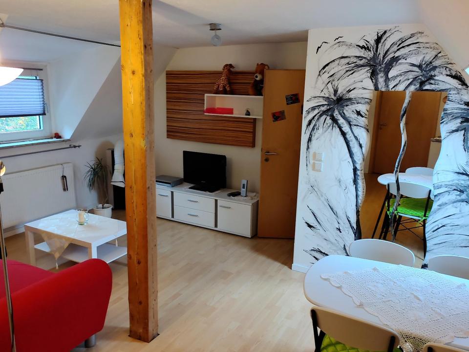 Thumbnail-Befristete Vermietung – Möblierte Dachwohnung nur für Studenten
