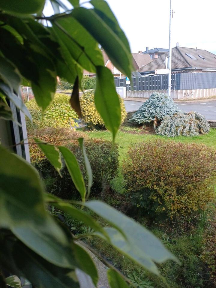 Thumbnail-Zimmer mieten