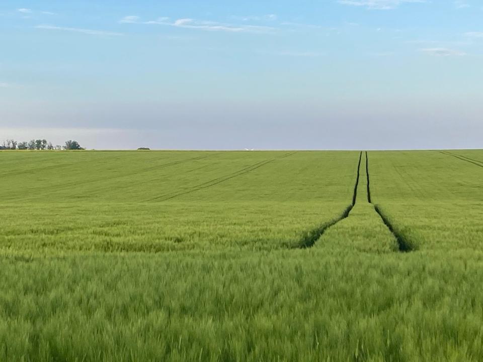 Thumbnail-Top Ackerland 37 ha bei Leipzig (Sachsen)